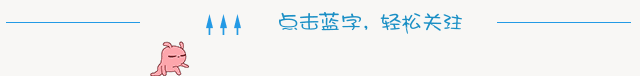 粉兔子动态引导关注